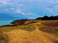 Ajonc, Bord DE MER ET Cote Sauvage