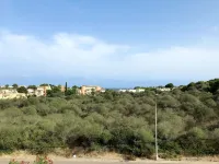 Schnuffi