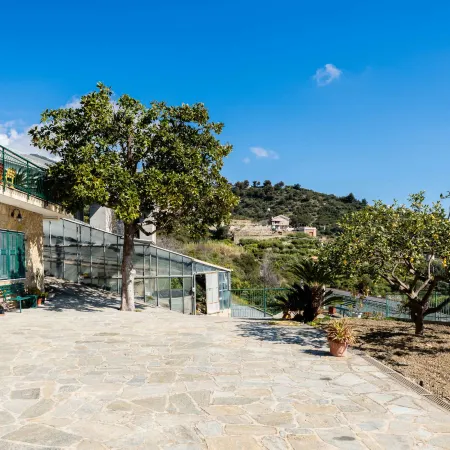 Casa Cycas