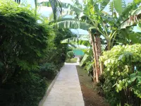 cottages with swimming pool and Spa 900 m from the sea Hotels in Sainte-Rose