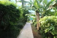 cottages with swimming pool and Spa 900 m from the sea - Swimmingpools
