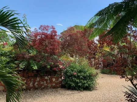 Tropicana Kendwa Beach Hotel Отели в г. Kaskazini A