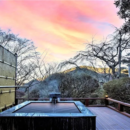 Hakone Kowakien Mikawaya Ryokan