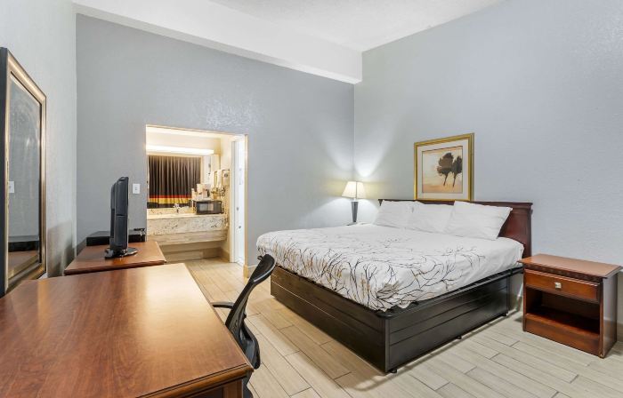Rodeway Inn