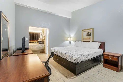 Rodeway Inn Hotels in Crystal River