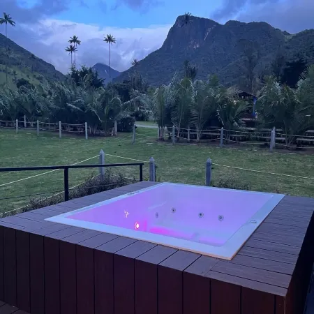 Bosques de Cocora Donde Juan B
