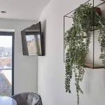 Host & Stay | The View, Hudsons Yard House - Homestays