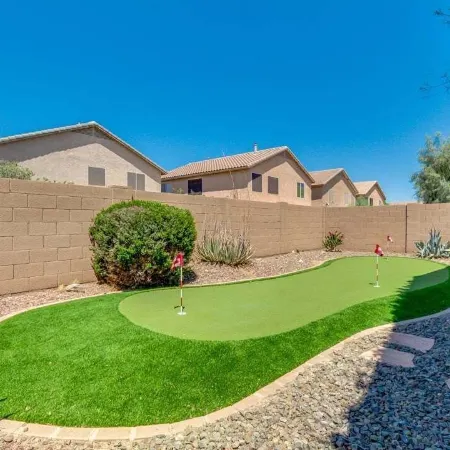 Palmen Maricopa