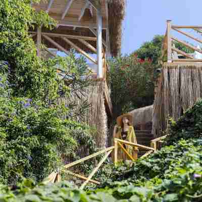 半島花園飯店 Hotel Exterior