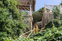 Peninsula Gardens Hotel