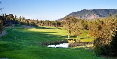 The Archie & Isidore Hotel