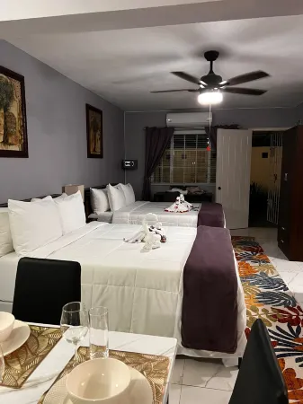 Lavender Moon Villas Отели рядом с достопримечательностью «Тертл Ривер Фолс & Гарденс»