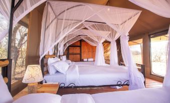House of Nature Serengeti