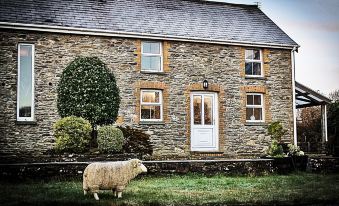 Waunwthan: B&B Suites