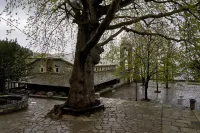 Villa Thea
