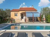 Danijel - Pools