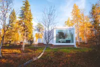 Northern Lights Ranch