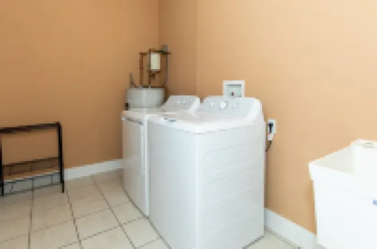 Large Kitchen and Living Space - Inviting Urban Oasis