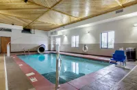 Comfort Inn & Suites Shawnee - Kansas City - piscine