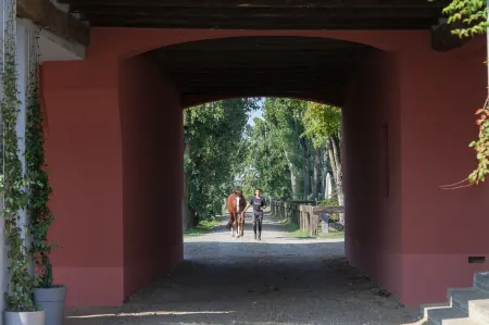 Scuderia la Colombera Отели в г. Берегуардо