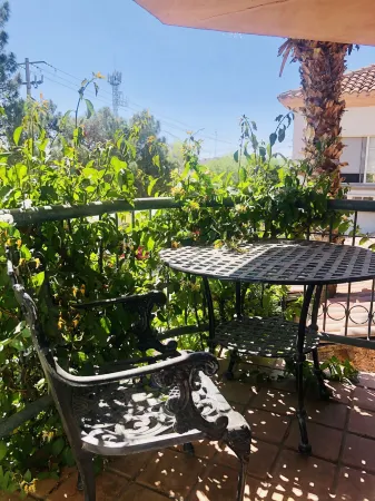 Vacation Rentals María Bonita Отели рядом с достопримечательностью «Gran Plaza Juan Gabriel»