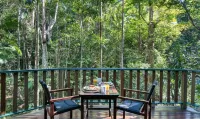 Narrows Escape Rainforest Retreat Hotels in North Maleny