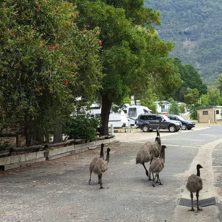 Breeze Holiday Parks - Halls Gap