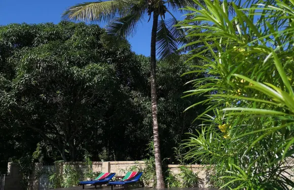 蔣伯蘭德酒店 - 迪亞尼