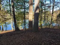 Lake Hartwell Waterfront Getaway