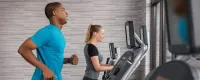 Courtyard Chihuahua - Gym