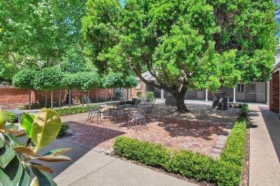 Garden The Houston Photo