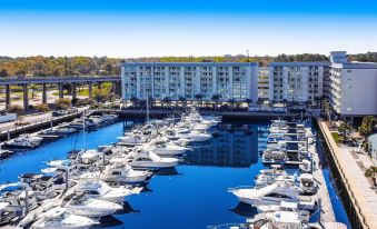Harbourgate Marina Club