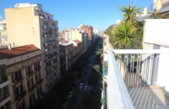 Gatto Bianco le Terrazze