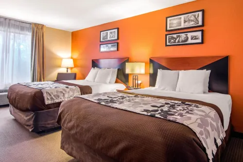 Sleep Inn & Suites - acceptant les animaux