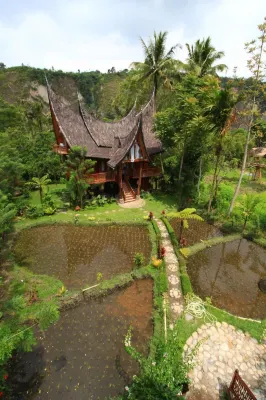 Padi Ecolodge Hotel dekat Jalan Masuk Air Terjun Langkuik Tinggi