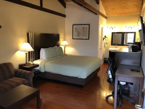 Lombard Plaza Motel - Motels