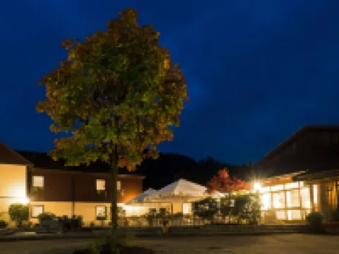 Wagners Hotel im Frankenwald Hotels in Steinwiesen