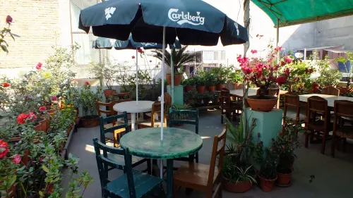 Hotel Dolphin - homestay