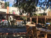 Meggs Bodrum Beach Hotel Hotels in Ortakentyahsi Mahallesi