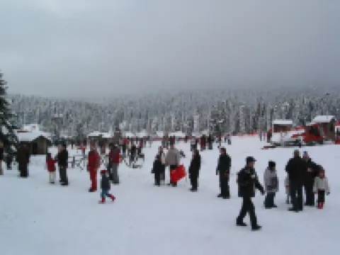 Mikri Arktos Hotels in Ethikes