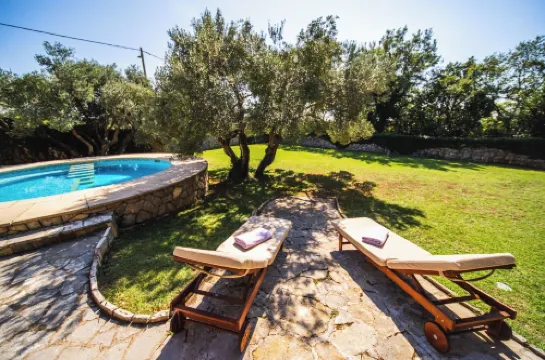 花園綠洲泳池別墅