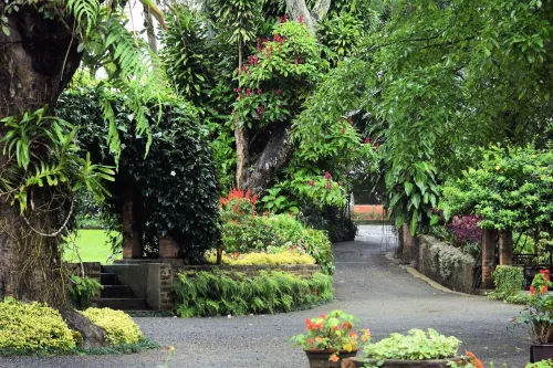 ميكلفيلد بنجالو