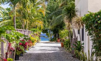 Coral Sands Apartments