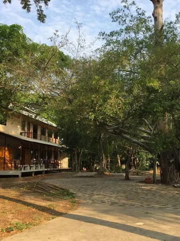 รูปภาพของโรงแรมฟอเรสท์