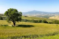 Agriturismo Le Macchie - Farmhouse in Pienza