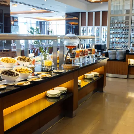Anemon Grand Samsun Otel