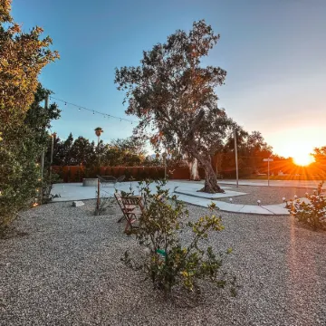 The Yucca Hotel