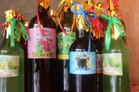 Batad Transient House Hotels in Ifugao