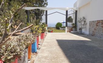Oleander Studios