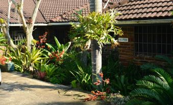 Buya Futhi Bed & Breakfast